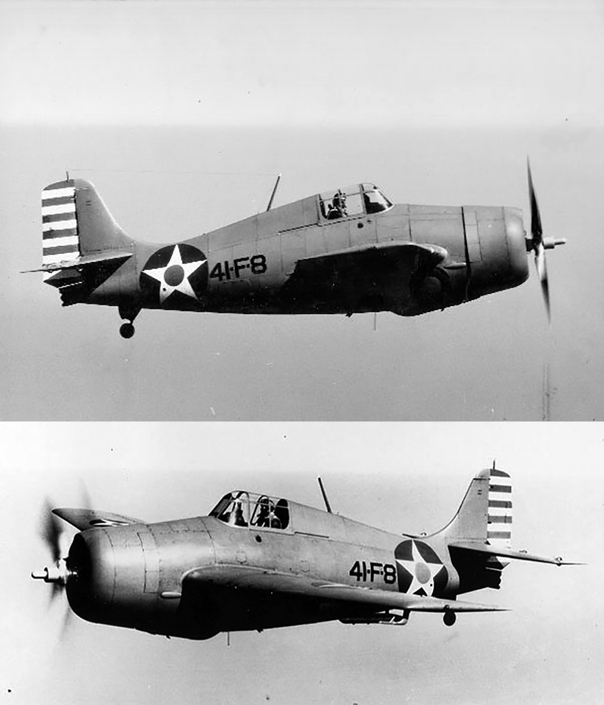 Grumman F4F-3 Wildcat VF-41 Black 41F8 aboard CV-6 USS Ranger 1942 01
