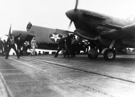 Asisbiz USN VF 71 Grumman F4F 4 Wildcats and Spitfires aboard USS Wasp CV7 off Malta Apr 1942 80 G 7085