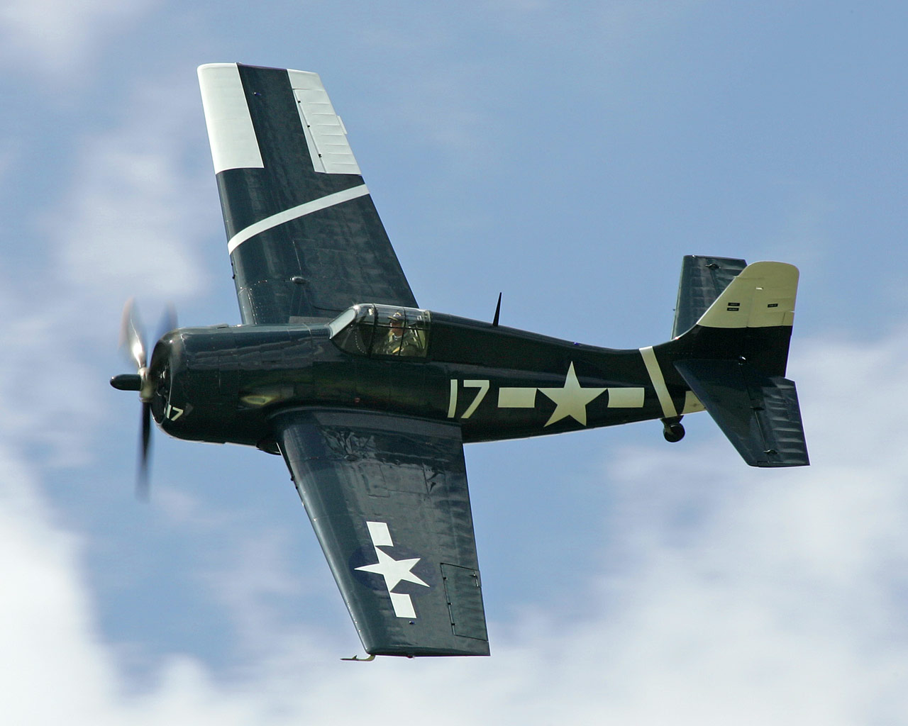 General Motors FM-2 Wildcat VC-70 White 17 airworthy warbird 03