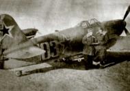 Asisbiz Yakovlev Yak 3 66GvIAD White 103 with DS Karpenko (R) at Siauliai airfield Feb 1945 01