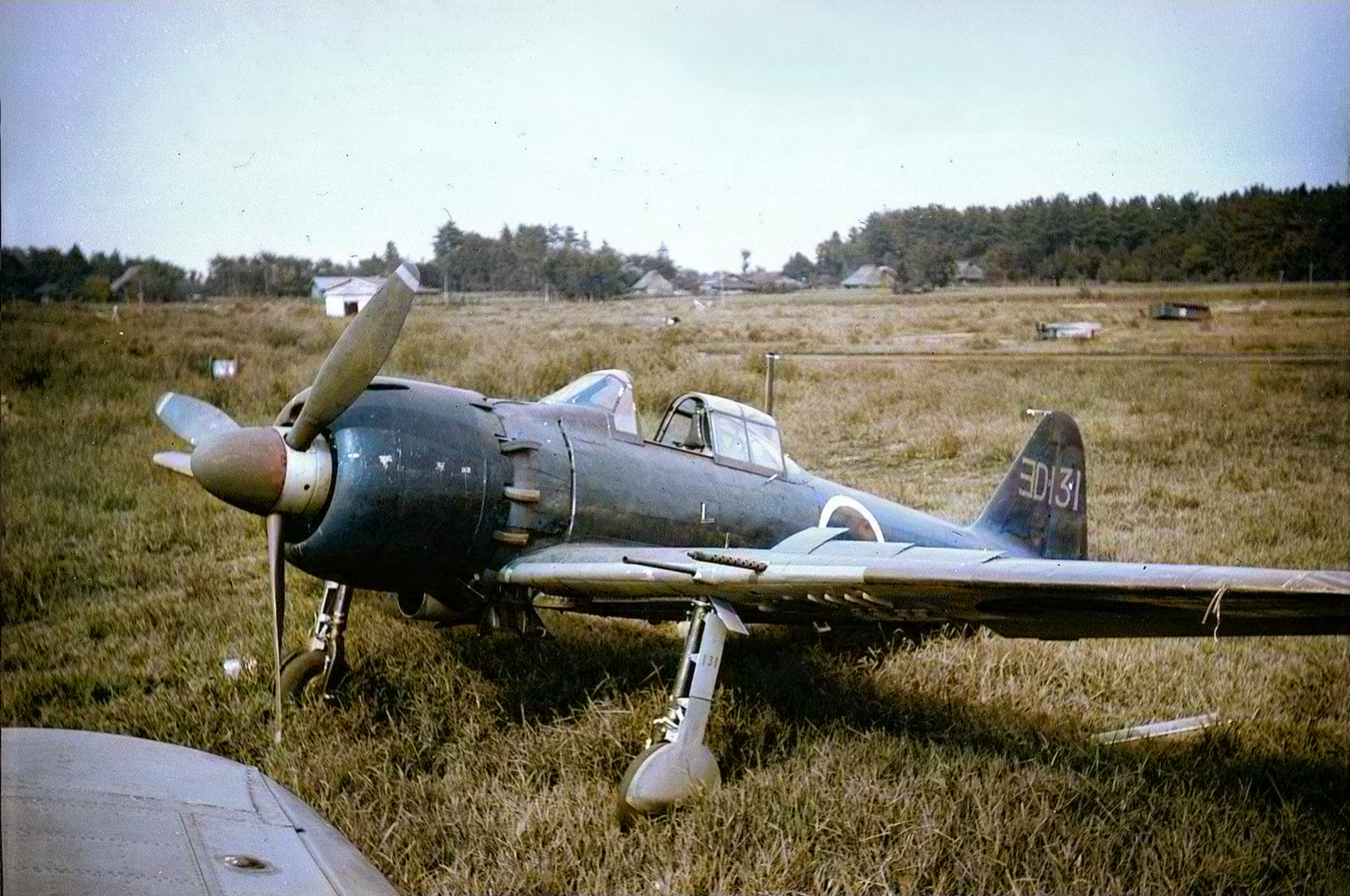 Mitsubishi A6M2 21 Zero JNAF 302 Kokutai 3D 131 Atsugi airbase Japan Aug 1945 01