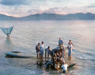 Asisbiz Japanese Zero belly landed in shallow water at Riales Leyte Philippines 29th Nov 1944