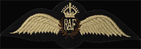 RAF wings