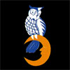 emblem 1./NJG3