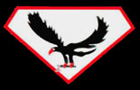 emblem Flugzeugführerschule A/B 114