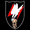 NJG100 emblem