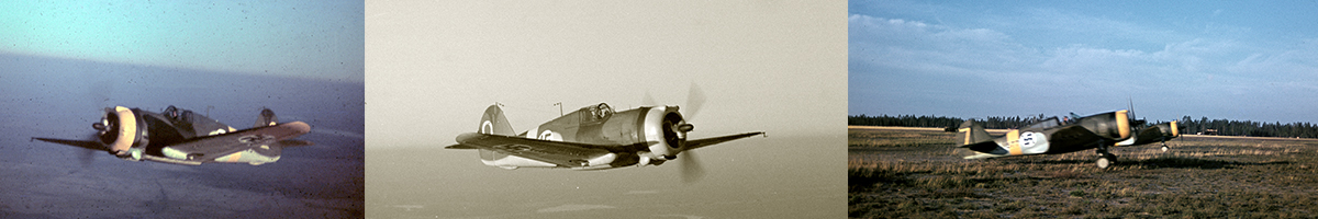 Finnish Air Force Curtiss P-36 Hawks or Hawk 75A's