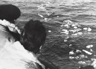 Asisbiz German U boat submarine sails through wreckage from a sunken American steamer Barents Sea Convoy PQ 17 5th July 1942 NH 71307