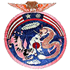 emblem Chinese-American Composite Wing (Provisional)