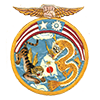 emblem Chinese-American Composite Wing (Provisional)