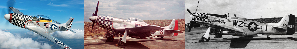 P-51 Mustang photo gallery header