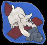 USAAF 14th Photographic Squadron patch