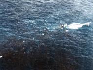 Asisbiz German submarine U 664 sank by planes from USS Card (CVE 11) near the Azores 9th Aug 1943 80 G 79393