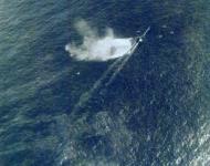 Asisbiz German submarine U 664 sank by planes from USS Card (CVE 11) north of the Azores 9th Aug 1943 80 G 79400