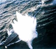 Asisbiz German Submarine U 185 under attack VC13 aircraft USS Core (CVE 13) 24th Aug 1943