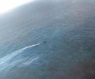 Asisbiz German submarine U 378 sunk by VC 13 or VSG 13 USS Core (CVE 13) in the Atlantic 20th October 1943 02