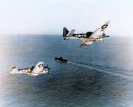 Asisbiz Douglas SBD 5 Dauntless scout bombers from USS Enterprise (CV 6) March 1944 80 G 251061