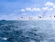 Asisbiz Japanese torpedo plane is shot down just astern of USS Lexington II (CV 16) Marshall Islands 4th Dec 1943 80 G 204751