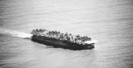 Asisbiz USS White Plains (CVE 66) 01